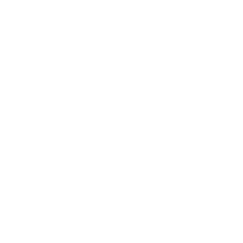 ZON Tech Logo